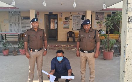 गौकसी में लिप्त अभियुक्तों के विरुद्ध दून पुलिस की बड़ी कार्यावाही! समाचार UP/UK