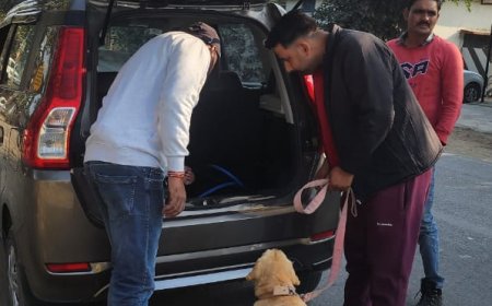 मादक पदार्थों की तस्करी रोकने को लेकर पुलिस ने चलाया संयुक्त चेकिंग अभियान! समाचार UP/UK