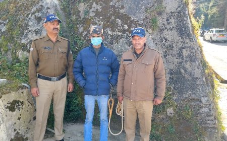 फर्जी वेबसाइट बनाकर धोखाधड़ी करने वाले गैंग को पुलिस ने पकड़ा l समाचार UP/UK