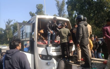 देहरादून लच्छीवाला टोल टैक्स पर बस का हुआ एक्सीडेंट! समाचार UP/UK