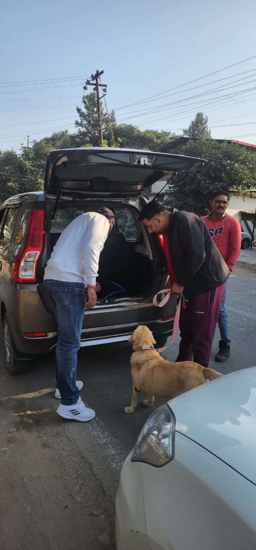 मादक पदार्थों की तस्करी रोकने को लेकर पुलिस ने चलाया संयुक्त चेकिंग अभियान! समाचार UP/UK