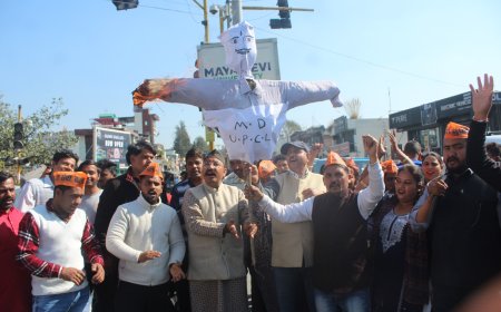 बिजली के Smart Meter को लेकर सुराज सेवा दल ने किया पुतला दहन ll समाचार UP/UK