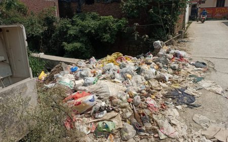 Dehradun : चन्द्रबनी वार्ड 91 मे कूड़े का अंबार, सड़क किनारे पड़े कचरे से लोग परेशान   ll समाचार UP/UK